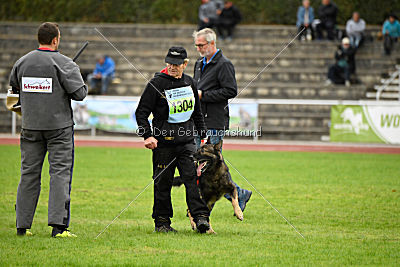 Marco vom alten Schemel