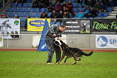 Marco vom alten Schemel