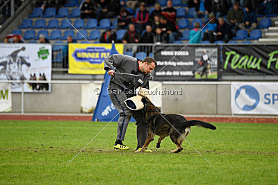 Marco vom alten Schemel