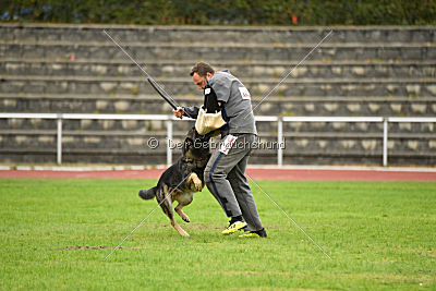 Marco vom alten Schemel