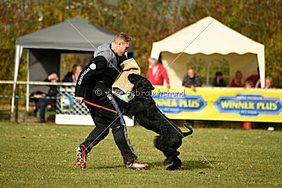 Marcus Mauritius Goldest Danubius