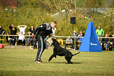 Marcus Mauritius Goldest Danubius