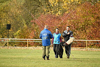 Marcus Mauritius Goldest Danubius