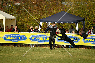 Marcus Mauritius Goldest Danubius