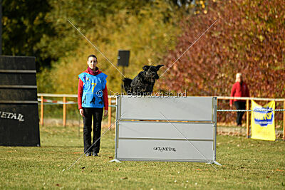 Marcus Mauritius Goldest Danubius