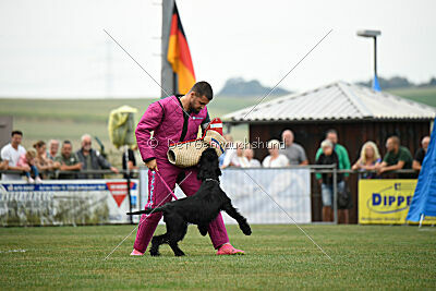 Marilyn Monroe von der Waffenstadt Suhl