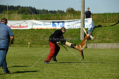 Marou vom Roten Juwel