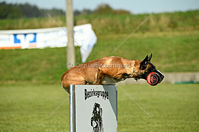 Marou vom Roten Juwel