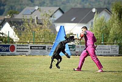 Marouk vom Hatzbachtal