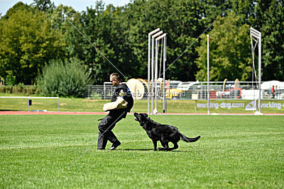 Matcho vom Mochauer Land 