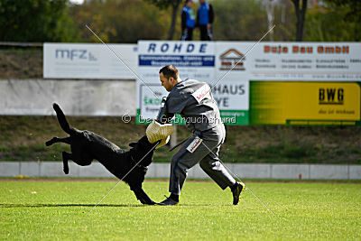 Matcho vom Mochauer Land