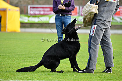 Matcho vom Mochauer Land