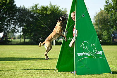 Matilda van de Zilveren Loop