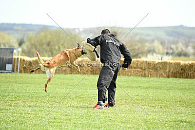 Matrix de Solare's Venezuela