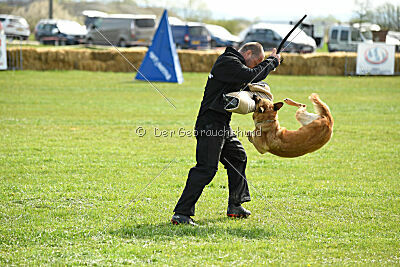 Matrix de Solare's Venezuela