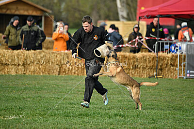 Matrix de Solare's Venezuela