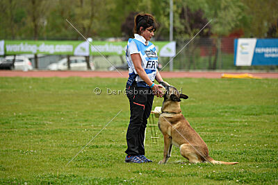 Matrix de Solare's Venezuela