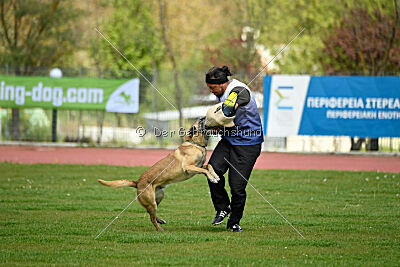 Matrix de Solare's Venezuela