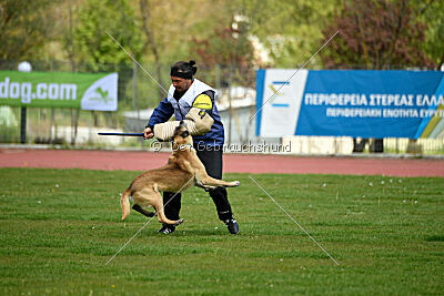 Matrix de Solare's Venezuela