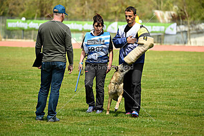 Matrix de Solare's Venezuela