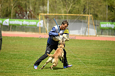 Matrix de Solare's Venezuela