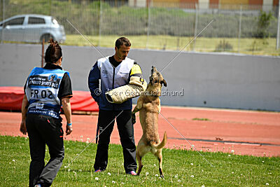 Matrix de Solare's Venezuela