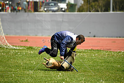 Matrix de Solare's Venezuela