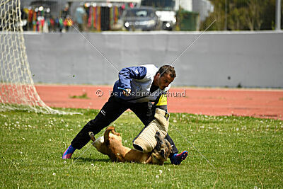 Matrix de Solare's Venezuela