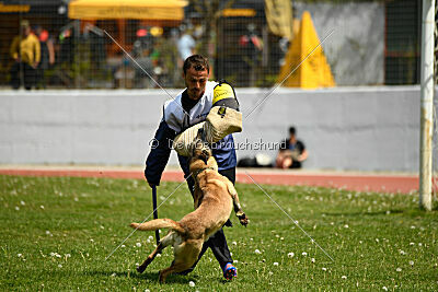 Matrix de Solare's Venezuela