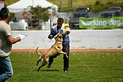 Matrix de Solare's Venezuela