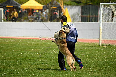 Matrix de Solare's Venezuela
