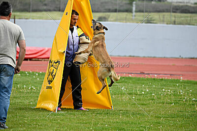 Matrix de Solare's Venezuela