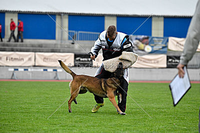 Max Arrow Injami