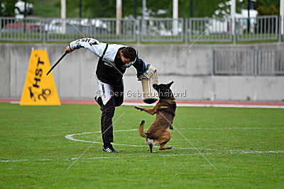 Max Arrow Injami
