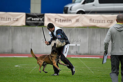 Max Arrow Injami