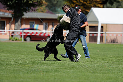 Max vom Mochauer Land