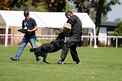 Max vom Mochauer Land