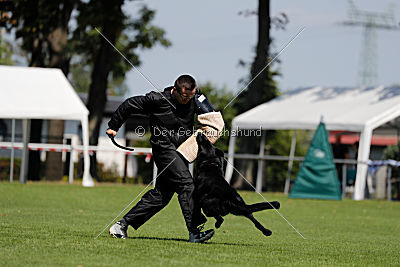 Max vom Mochauer Land