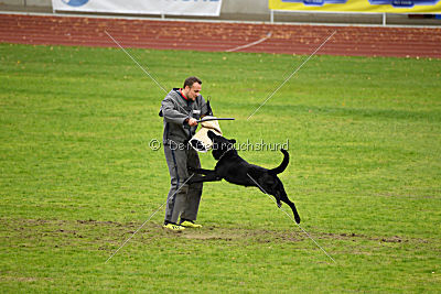 Max vom Mochauer Land