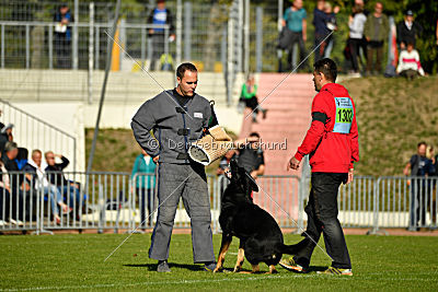 Max vom Waldhäuser Schloß