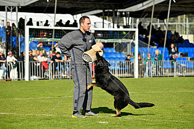 Max vom Waldhäuser Schloß