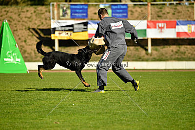 Max vom Waldhäuser Schloß