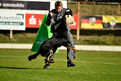 Max vom Waldhäuser Schloß