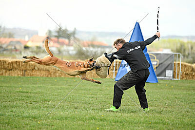 Max vom blauen Mistral