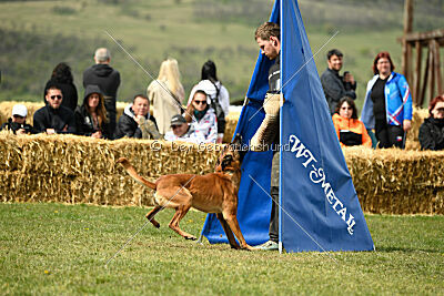 Max vom blauen Mistral