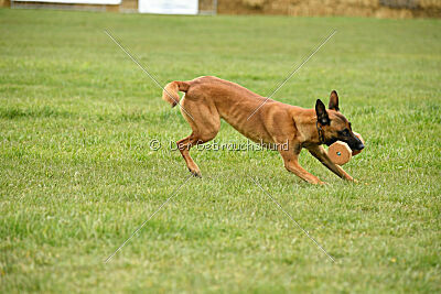 Max vom blauen Mistral