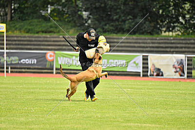 Maxi du Baudet Rouge