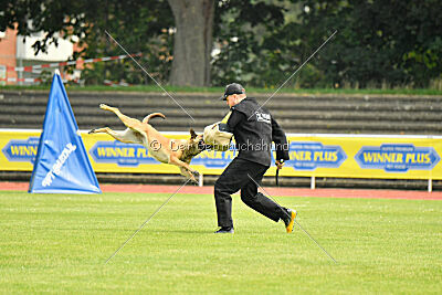 Maxi du Baudet Rouge