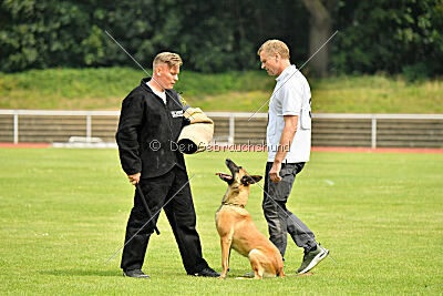 Maxi du Baudet Rouge