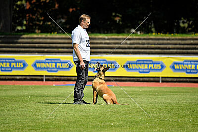 Maxi du Baudet Rouge